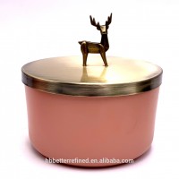 nude empty candle jar with decorative animal metal handle glass wax cup container soy wax tiger rhino elephant mouse rat deer